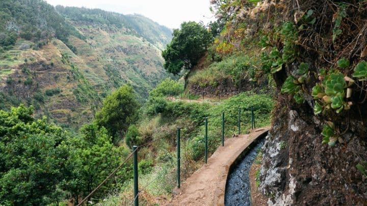 Стежка левадою біля Ponta do Sol на Мадейрі