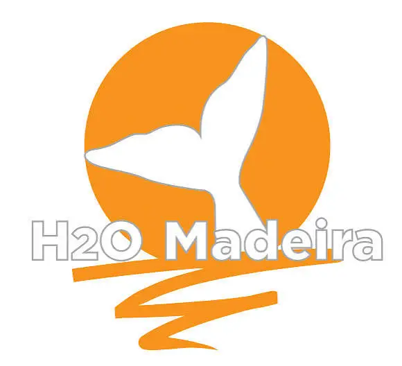 H2O Madeira — Whale & Dolphin Watching