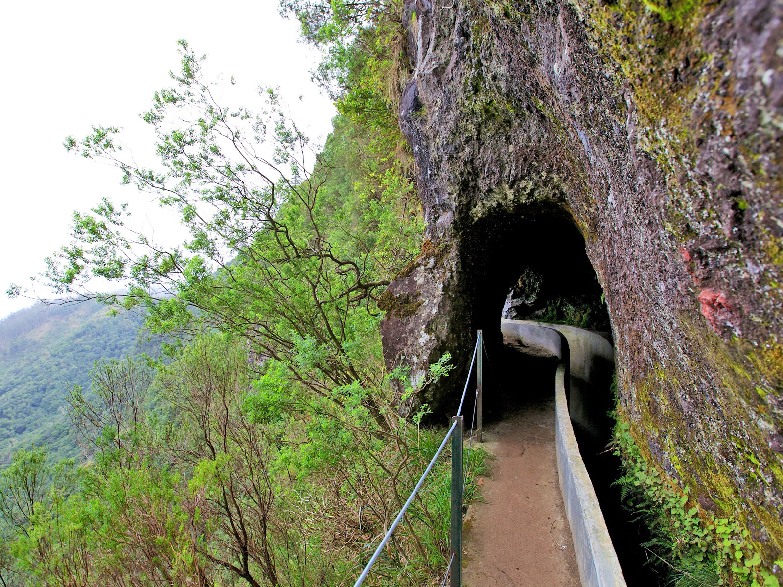 Levada do Furado in Madeira