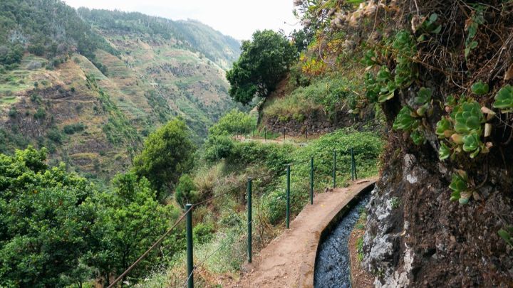 Стежка левадою біля Ponta do Sol на Мадейрі