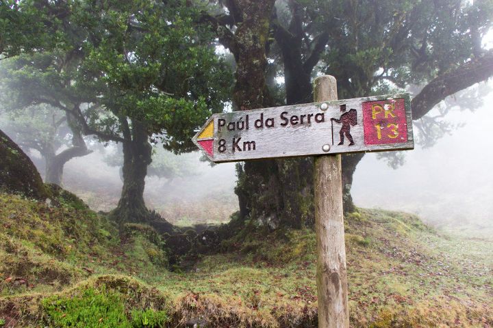PR13 Vereda do Fanal in Madeira