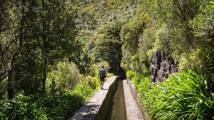 PR17 Caminho do Pináculo e Folhadal in Madeira