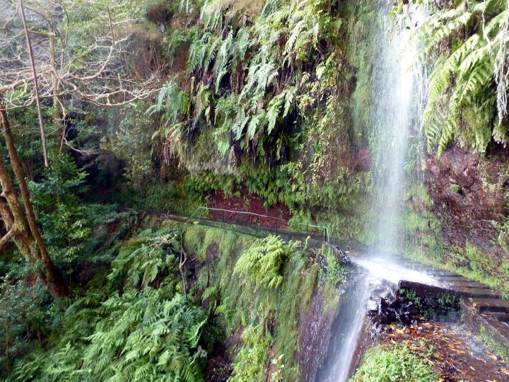 PR18 Levada do Rei in Madeira