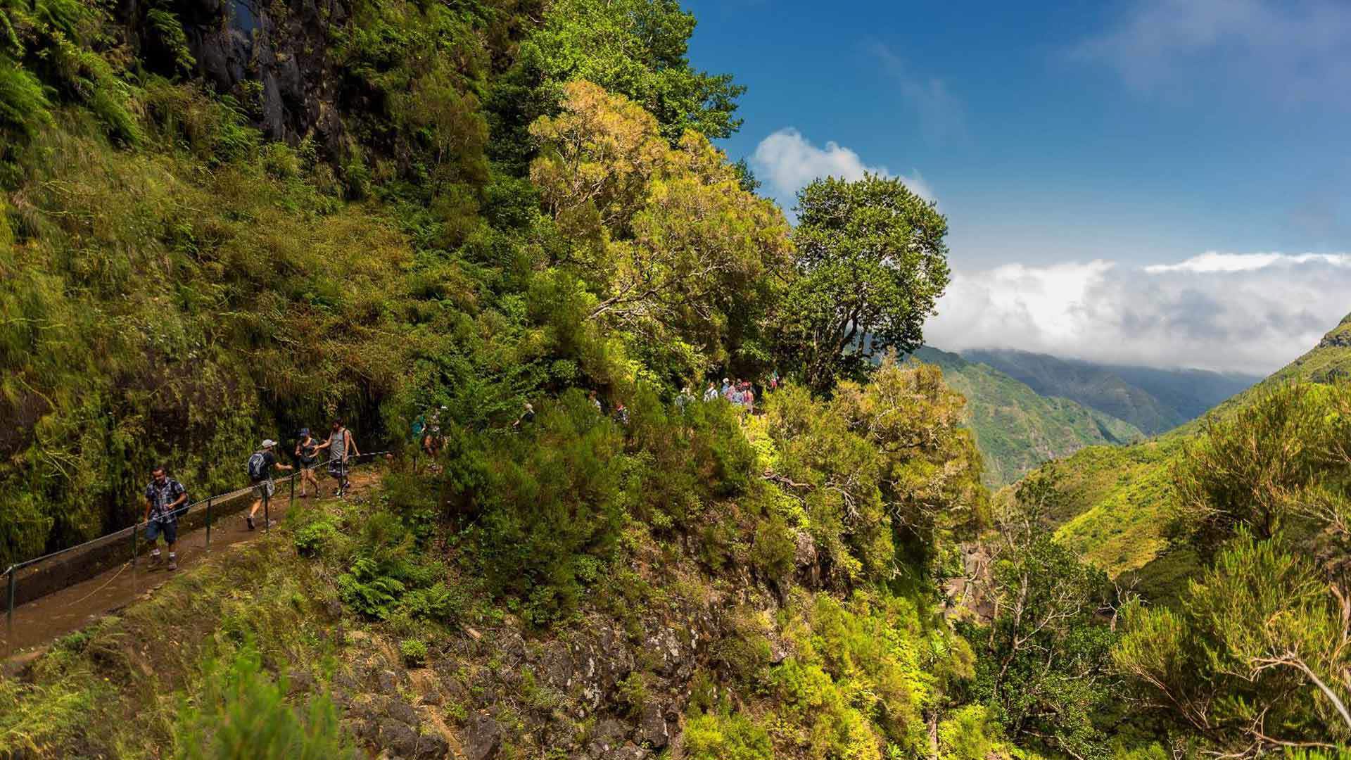 PR6.1 Levada do Risco in Madeira